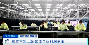 羽絨服輪番漲價 中高端產(chǎn)品還賣得更火了？